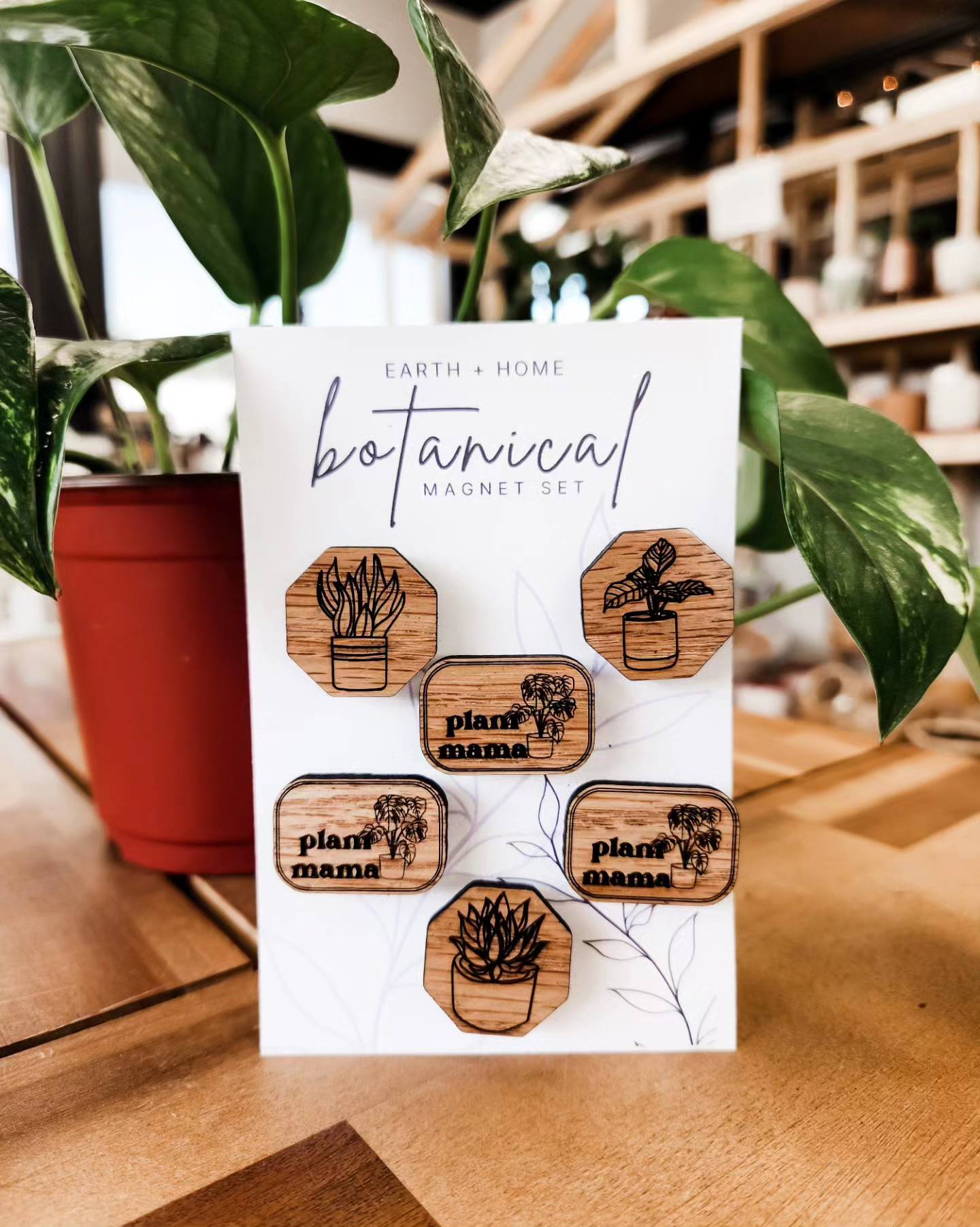 Botanical Magnet Set