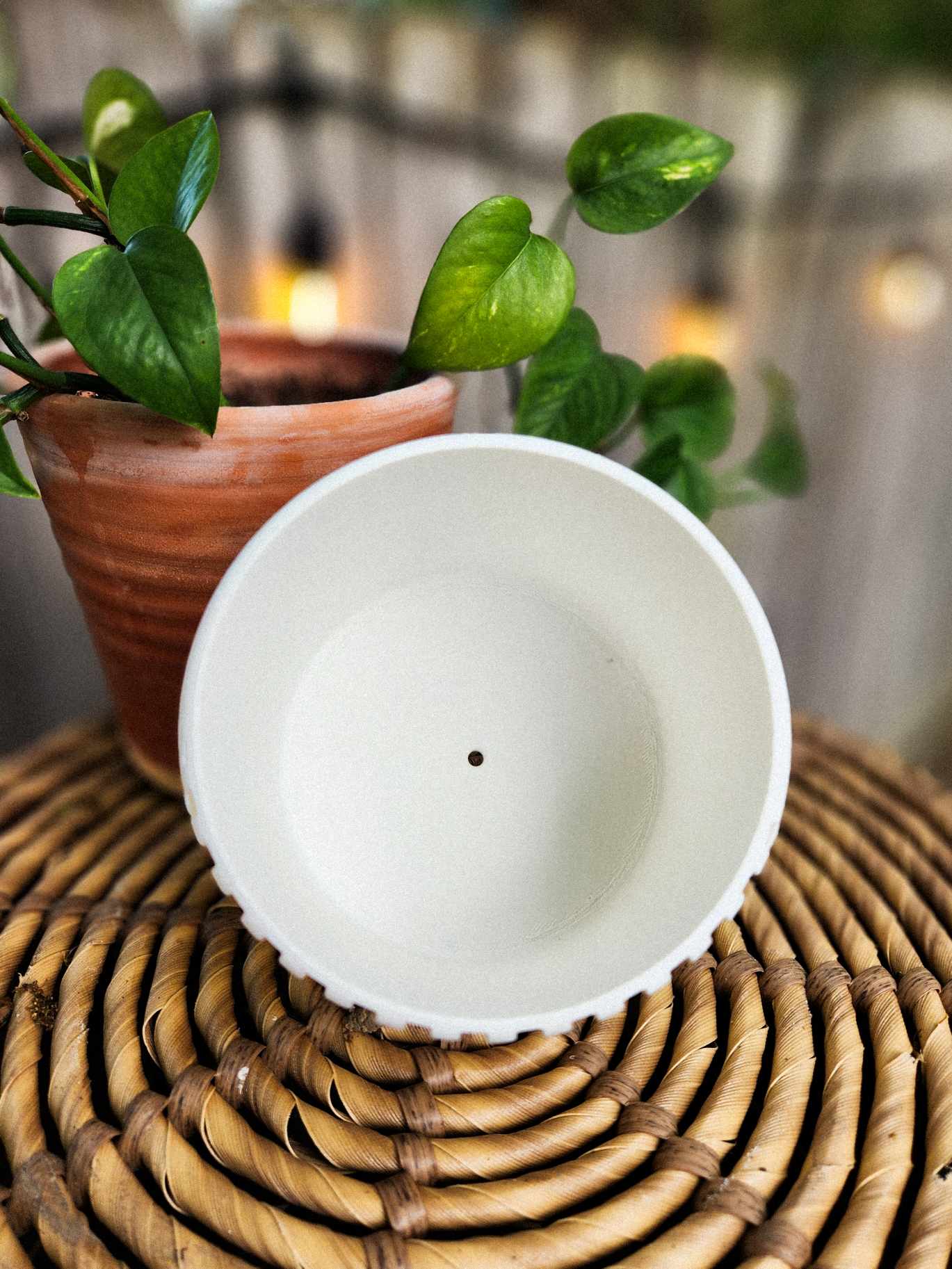 Simple Boho Planter