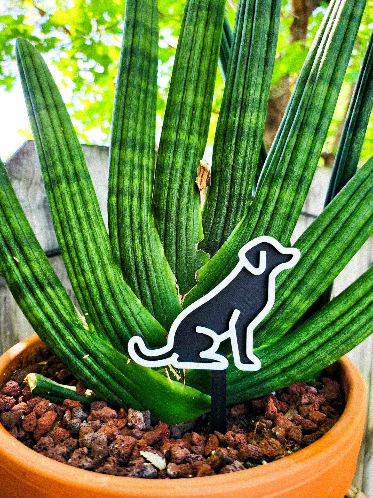 Dog Plant Marker