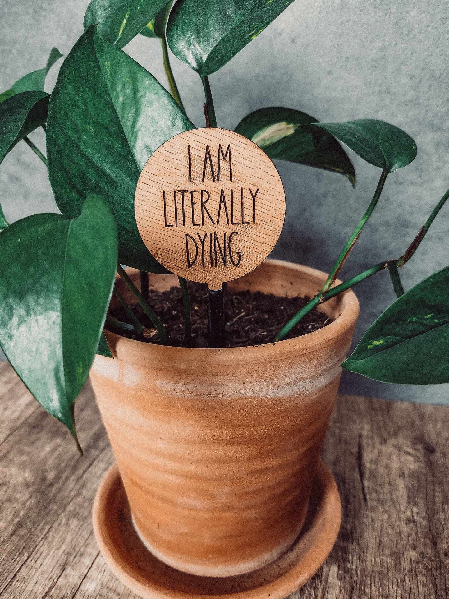 2" Round Wood Plant Sayings