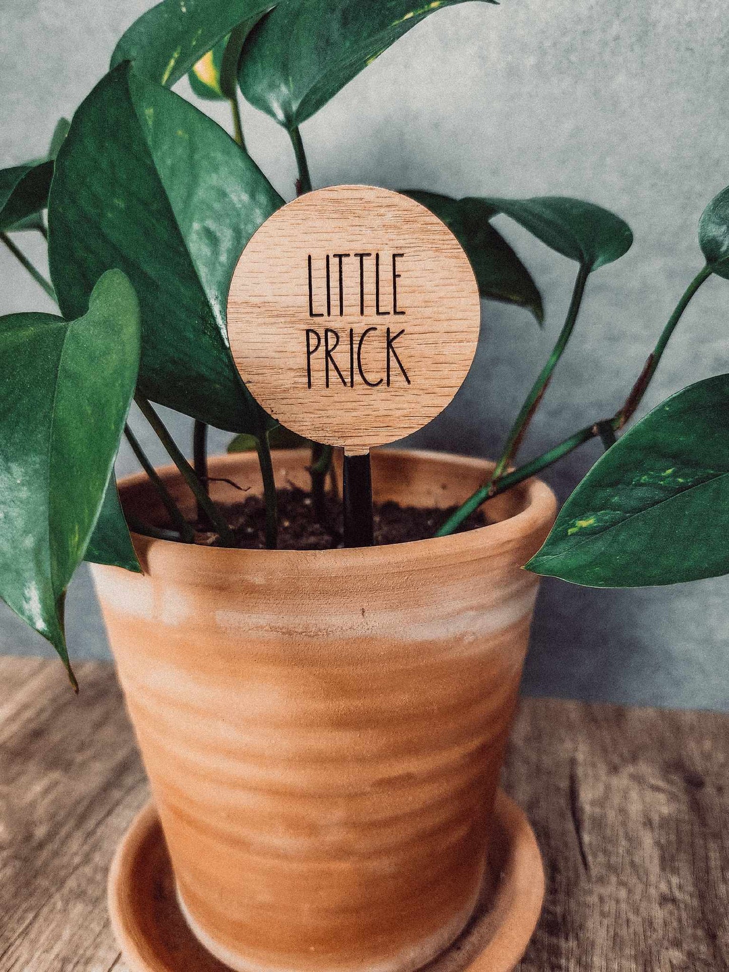 2" Round Wood Plant Sayings