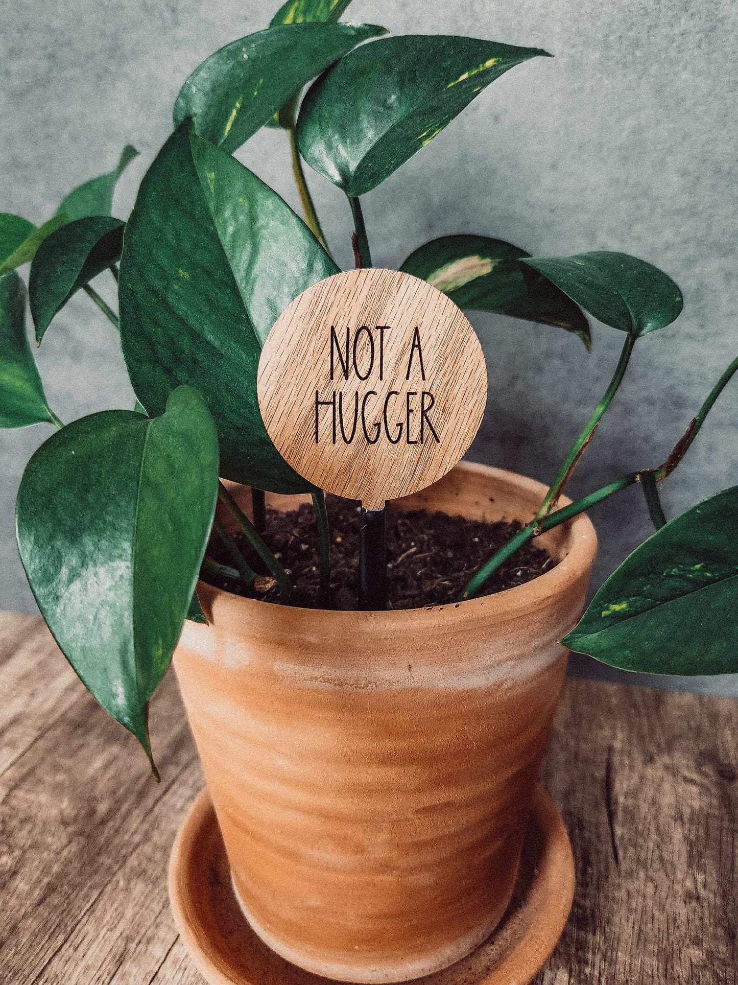 2" Round Wood Plant Sayings