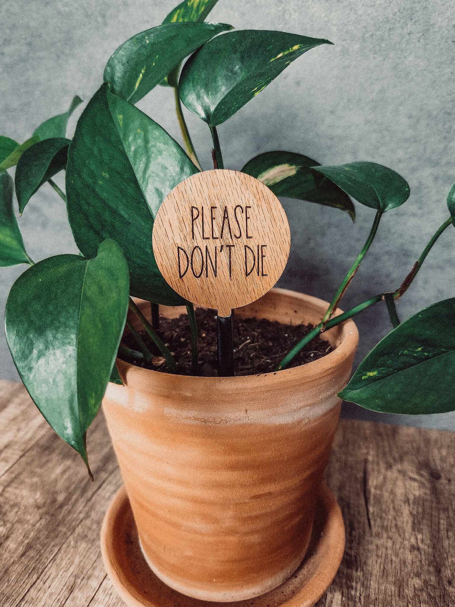 2" Round Wood Plant Sayings