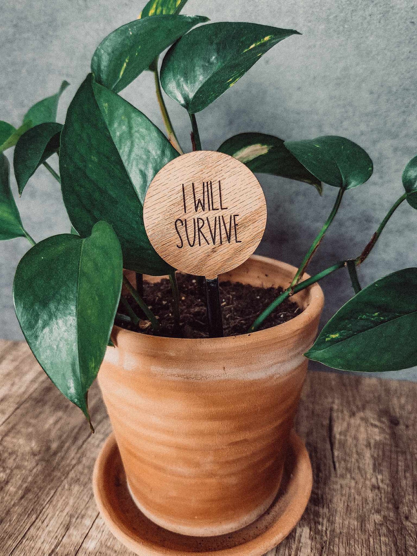 2" Round Wood Plant Sayings