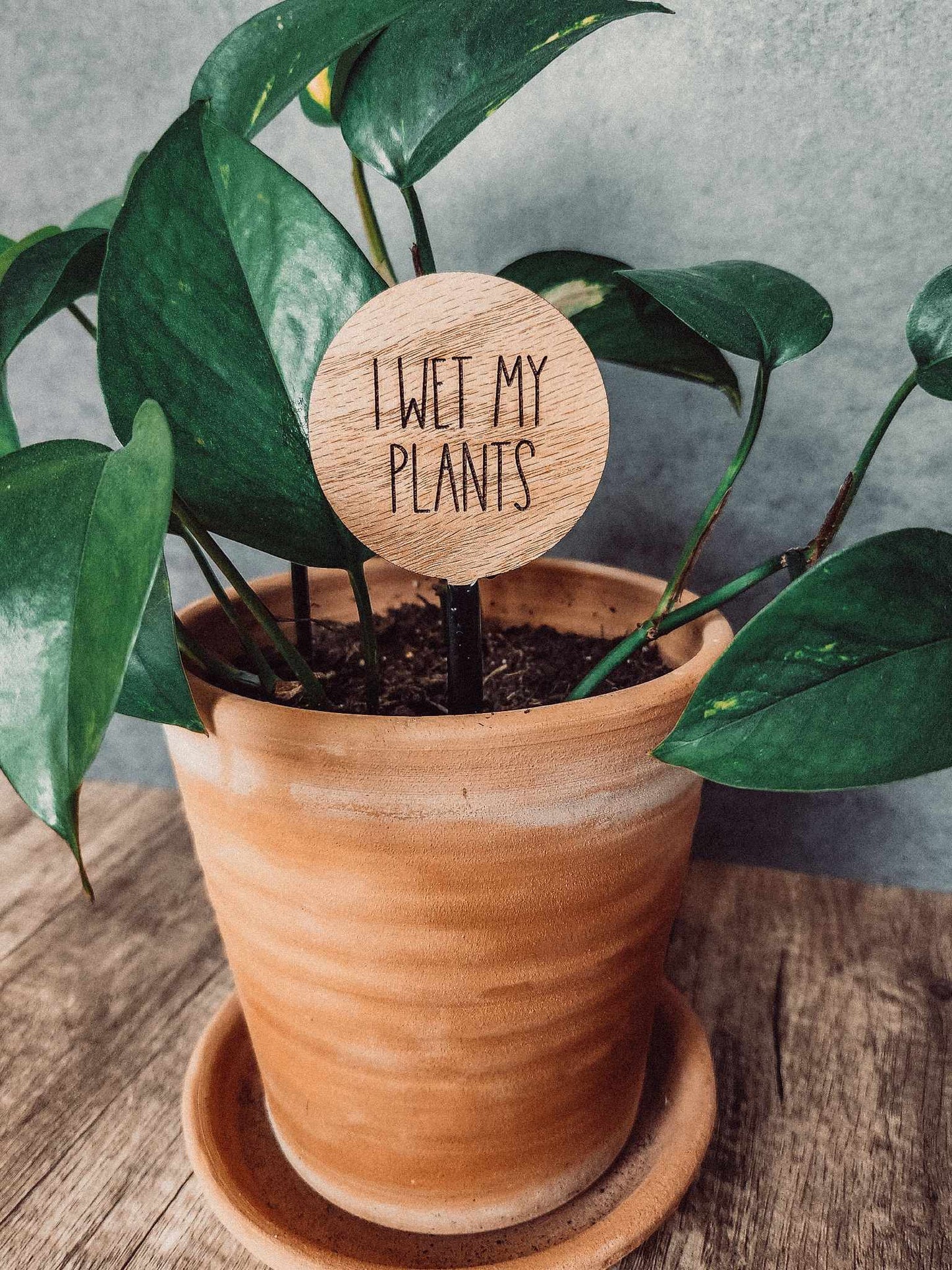 2" Round Wood Plant Sayings